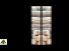 วีเนียร์ไม้ธรรมชาติ