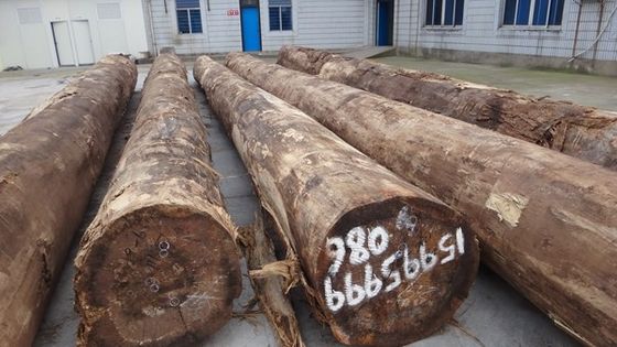 ผนัง Santos ไม้ Rosewood Veneer Crown ความหนาของเมล็ดสามารถปรับแต่งได้ 0.15-1.8 มม สําหรับสําหรับหน้าตู้ SZ-254C / 1010C / 1325C