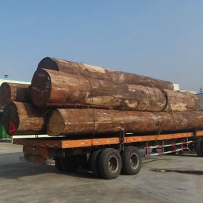 ไม้วีเนียร์ไม้วีเนียร์ไม้โอ๊คสีขาวแต่งแฟนซี H7036 Slice Cut For Door and Windows ISO