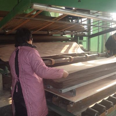 จำลอง Natural American White OAK X024N แผ่นไม้อัดไม้สำหรับประตูและ Windows ISO