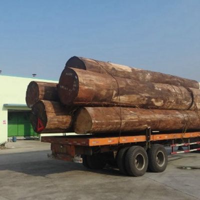 กล่องเนื้อเยื่อ 2200 มิลลิเมตร การออกแบบฟีนเนอร์ต้นโอ๊ค สําหรับบอร์ดตกแต่งภายใน