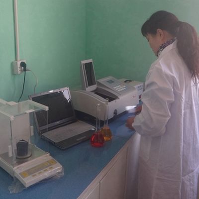 ไม้วีเนียร์ลายไม้ดำประกายมุก BP-X2003(N) ดีไซน์ใหม่ ความยาว 3100 มม. สำหรับผิวประตูไม้