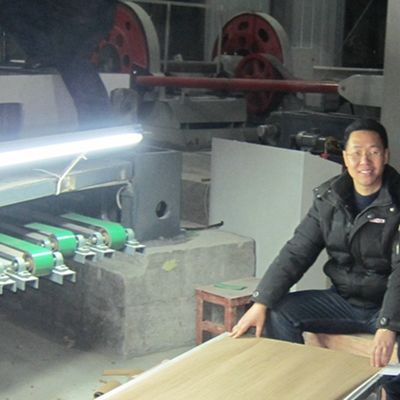 กลมเล็ก เนื้อเยื่อวิศวกรรมไม้ veneer ยาวขนาด 2800mm สําหรับโรงแรม WA-X068N