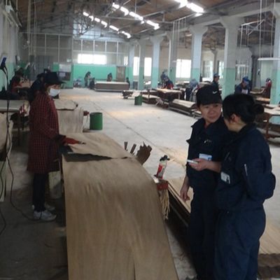 การออกแบบไม้ veneer ตัดสี่ส่วนหนึ่งของแผ่น Oak เงิน ความหนา 0.4 มม สําหรับสําหรับหน้าตู้