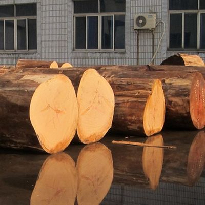 ปรับปรุง Recon Elm Wood Veneer ตัดตรงและตัดมงกุฎสําหรับหน้าตู้ 2500 * 640 มม