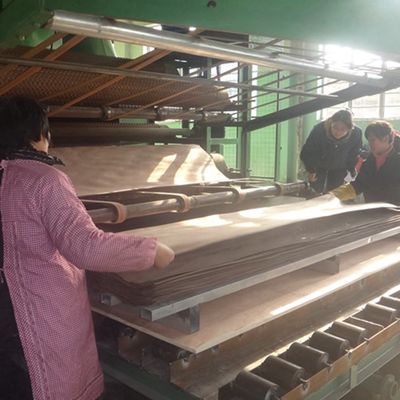 3D Recon Wood Veneer 3DZM-L5.0 สําหรับกระเป๋าตู้หน้าภายในผนัง