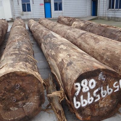แฟนซีวิศวกรรมไม้ veneer ของ Quandong ความหนา 0.18-0.6 มม สําหรับตกแต่งโรงแรมสามารถกําหนดเอง