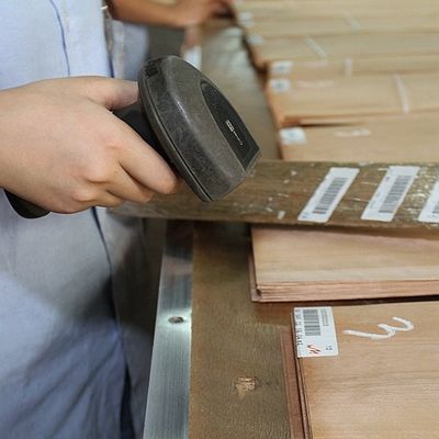 FSC Natural White Ash Burl Veneer ลายเกลียว Grain เกรด A สำหรับตกแต่งโรงแรม ความหนา 0.5-0.55mm