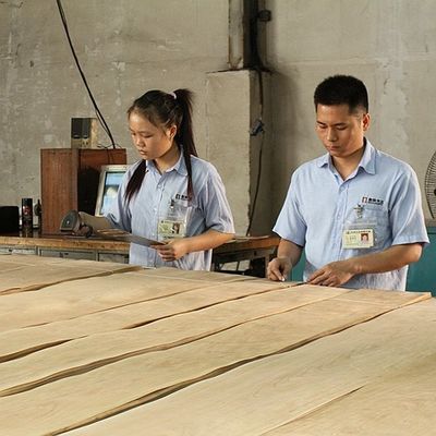 ไม้วีเนียร์เมเปิ้ลธรรมชาติอเมริกัน Birdseye Maple ความหนา 0.5 มม. คุณภาพดีสำหรับเฟอร์นิเจอร์และเครื่องดนตรี