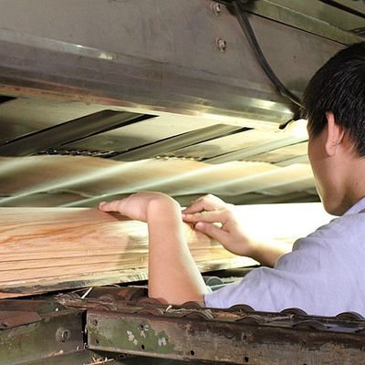 แผ่นไม้อัดเถ้าทาโมธรรมชาติความหนา 0.5 มม. สำหรับตกแต่งภายในรถยนต์และเครื่องดนตรี
