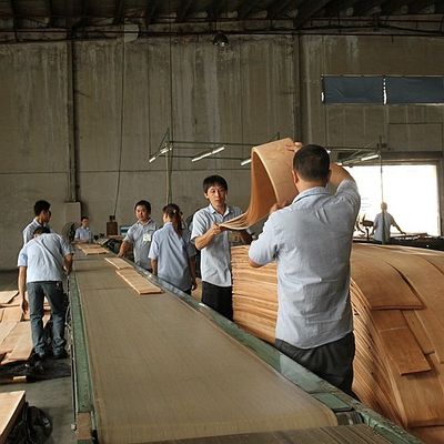 ไม่ธรรมดา ไม้เถ้าสีขาวธรรมชาติ ฟรีเนียร์ Burl Olive AA Grade สําหรับผนัง หนา 0.5mm