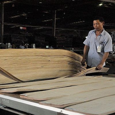 เครื่องดนตรีแอฟริกา อเนเกร ไม้วีเนียร์ฟิดเดิ้ล ซอลายหลัง 0.5มม