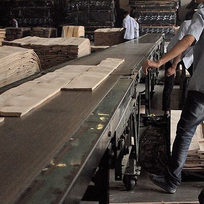 FSC Natural White Ash Burl Veneer ลายเกลียว Grain เกรด A สำหรับตกแต่งโรงแรม ความหนา 0.5-0.55mm