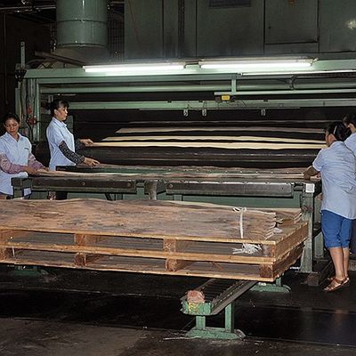 ไม้วีเนียร์เมเปิ้ลธรรมชาติอเมริกัน Birdseye Maple ความหนา 0.5 มม. คุณภาพดีสำหรับเฟอร์นิเจอร์และเครื่องดนตรี