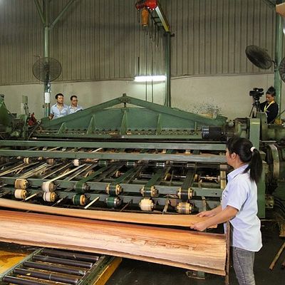 ยุโรปไม้วีเนียร์ Poplar ธรรมชาติ Mapa Burl Grain คุณภาพสูงความหนา 0.5 มม. สำหรับเครื่องดนตรี