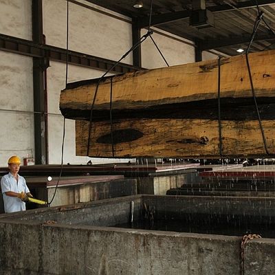 ไม้วีเนียร์ไม้ Poplar ธรรมชาติอเมริกันสีขาวตรงสำหรับไม้อัดแฟนซี / ประตู