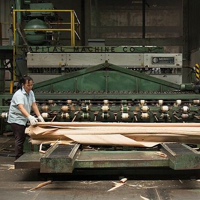 Quarter Cut Straight วีเนียร์ไม้ Sapele ธรรมชาติแอฟริกาสำหรับผิวหน้าและพื้นปาร์เก้