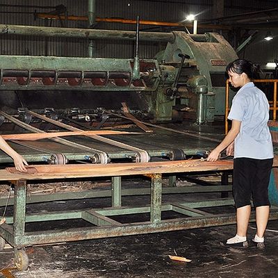 เครื่องดนตรีแอฟริกา Makore Wood Veneer Straight Fiddle Back Grain