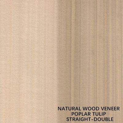 American Natural Poplar Wood Veneer Quarter Cut Double Colour for Decoration