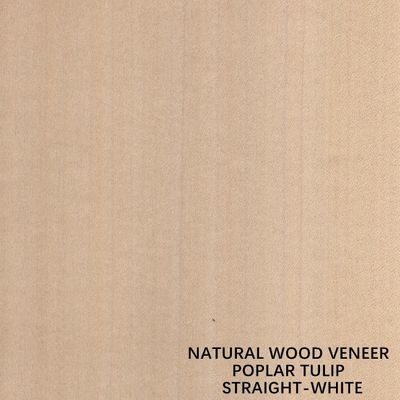 ไม้วีเนียร์ไม้ Poplar ธรรมชาติอเมริกันสีขาวตรงสำหรับไม้อัดแฟนซี / ประตู
