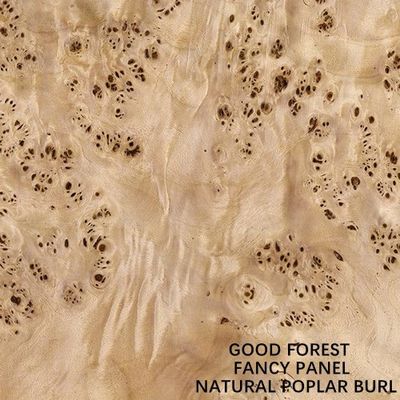 แผงแฟนซีต้องเผชิญกับไม้วีเนียร์ Poplar Burl สีขาวธรรมชาติสำหรับการตกแต่งโรงแรมขนาดยาว 2440/2745 มม. China Supply