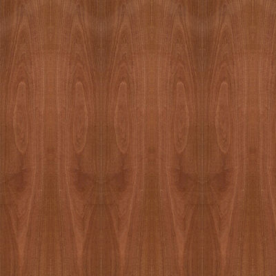 ไม้อัดแฟนซี Natural Sapele Wood Veneer Crown Grain 5/9/12/15/18/25/30 มม.