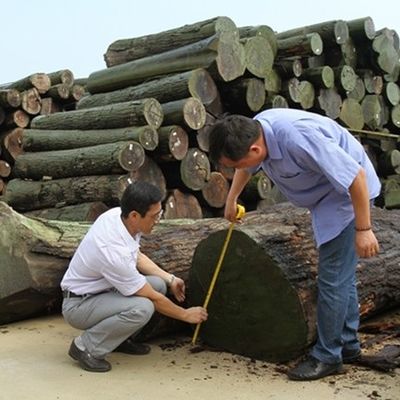 High Quality 3D Techwood Veneer 3DZM-L6.0 | Fire Retardant B1 & FSC Certified, Custom Sizes Available