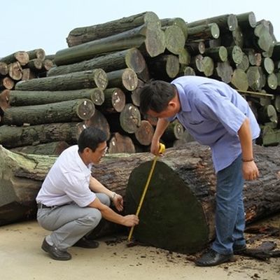 การออกแบบใหม่ของวีเนียร์ไม้ซีดาร์เทียม FCW-L146N/L246C เทคนิคการตัดแบบ Slice Cut ขนาด 2*8 นิ้ว สำหรับหน้าตู้