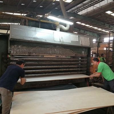 สูงสุด Recon ไม้ Veneer ธรรมชาติ Walnut Wt-X873n 2850mm ความยาวสําหรับประตูตกแต่งแผ่นโรงงานจีน