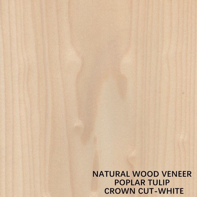 ทิวลิป American Natural Poplar Wood Veneer Flat Cut Crown White For Doors