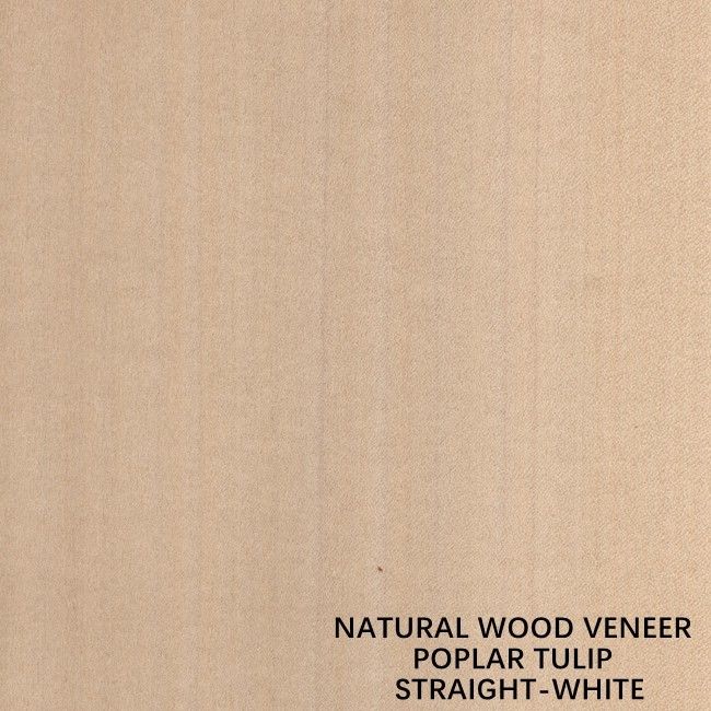 ไม้วีเนียร์ไม้ Poplar ธรรมชาติอเมริกันสีขาวตรงสำหรับไม้อัดแฟนซี / ประตู