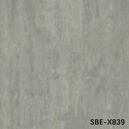 Silver Bird's Eye X839 ความยาว 2250 มิลลิเมตร