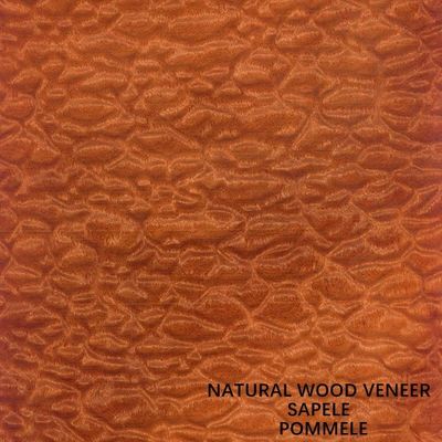 ไม้วีเนียร์ไม้ Sapele ธรรมชาติจากแอฟริกา เมล็ดพืชที่แปลกใหม่ Pommele สำหรับเปียโนและเฟอร์นิเจอร์