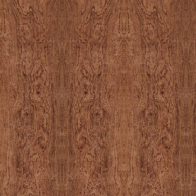 กระดานไม้อัดแฟนซี Elm Cluster พิเศษสำหรับตกแต่งโรงแรมฟรี